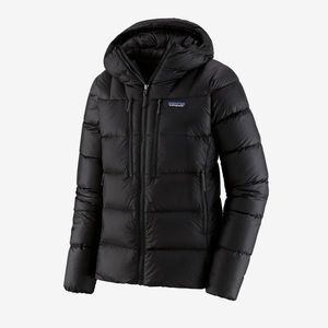 COPY - Patagonia Women’s Fitz Roy Hoodie